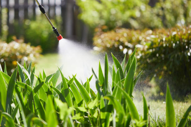 24/7 Emergency Ant Control experts in Prosser, WA